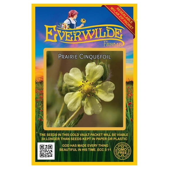Everwilde Farms - 2000 Prairie Cinquefoil Native Wildflower Seeds - Gold Vault Seed Packet