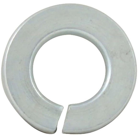 0.25 in. Lock Washers - Pack of 25