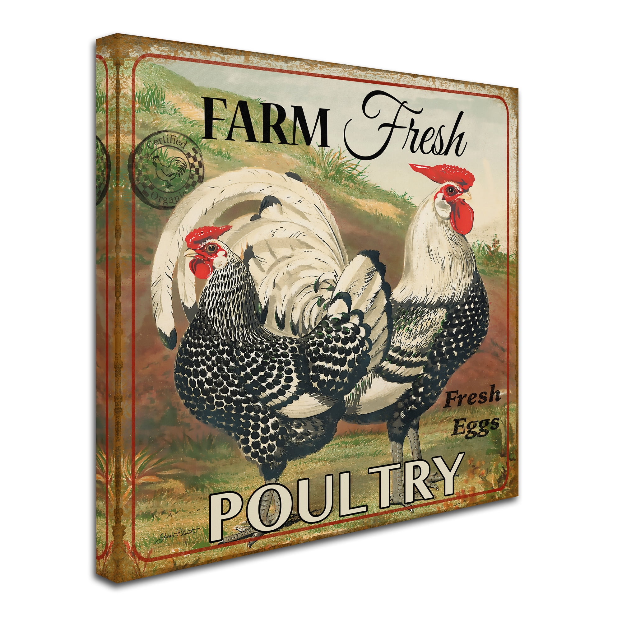 Trademark Fine Art 'Farmer Fresh Poultry 1' Canvas Art by Jean Plout