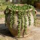 thumbnail image 5 of Plantas colgantes artificiales con enredaderas de follaje verde | Hiedra artificial para decorar paredes o estantes | Decoración para interiores y exteriores, hogar, jardín, oficina y bodas, 5 of 9