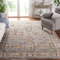 Safavieh Hamilton Denny Oriental Polyester Area Rug, Blue/Ivory, 6'7" x 6'7" Square