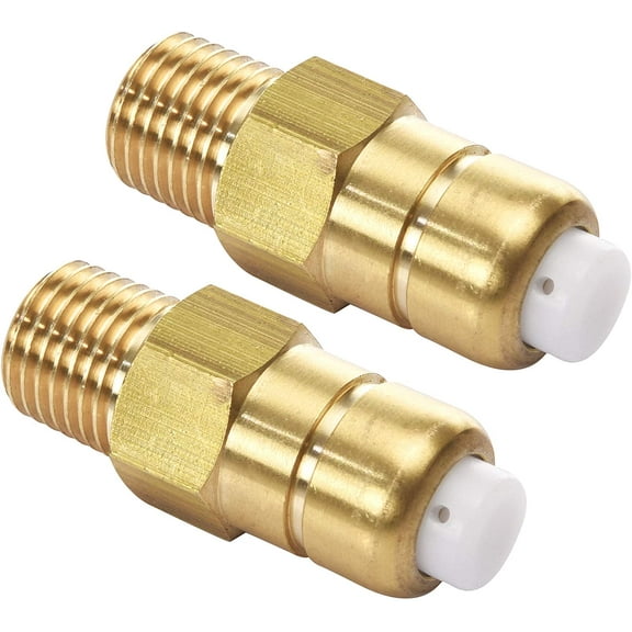 Tool Daily Thermal Release Valve for Pressure Washer Pump, 1/4 inch NPT, 2-Pack