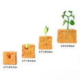 thumbnail image 3 of Modelo De Ciclo De Crecimiento De Plantas De Frijol Verde, Ciclo De Vida De Plantas, Juguete Educativo De Evolución Para Niños matsuzay FN005936-00, 3 of 6