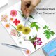 thumbnail image 4 of 60 piezas de margaritas secas en relieve con diseño floral de resina para hacer joyas, velas, jabón, jarrones, pegatinas, libros, manualidades, decoración floral, 4 of 5