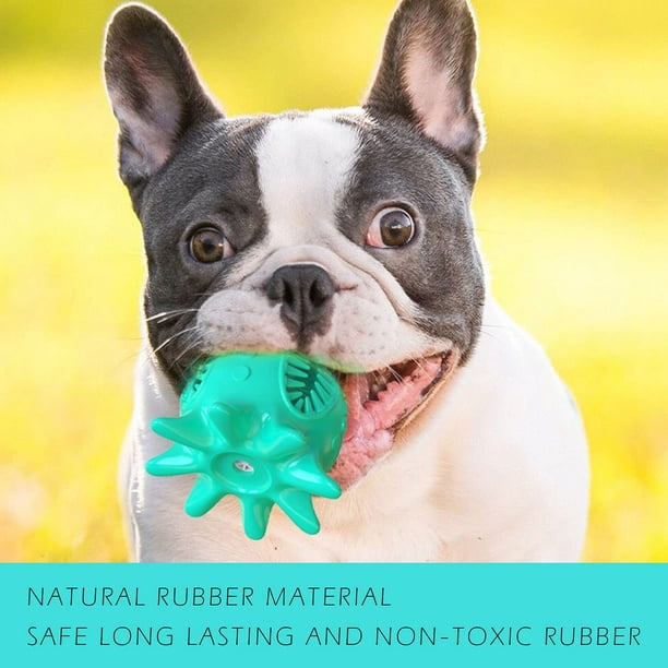 Boston hot sale terrier toys