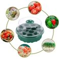 thumbnail image 6 of Vikakiooze Seed Starter Tray,Humidity Adjustable Seed Tray with Dome and Base Greenhouse, 6 of 7