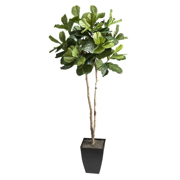 D & W Silks 7' Fiddle Leaf Fig Tree in Black Square Metal Planter