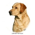 thumbnail image 3 of CafePress - Labrador Retriever 9Y297D 038 Men's Light Pajamas - Men's Light Loose Fit Cotton Pajama Set, 3 of 7