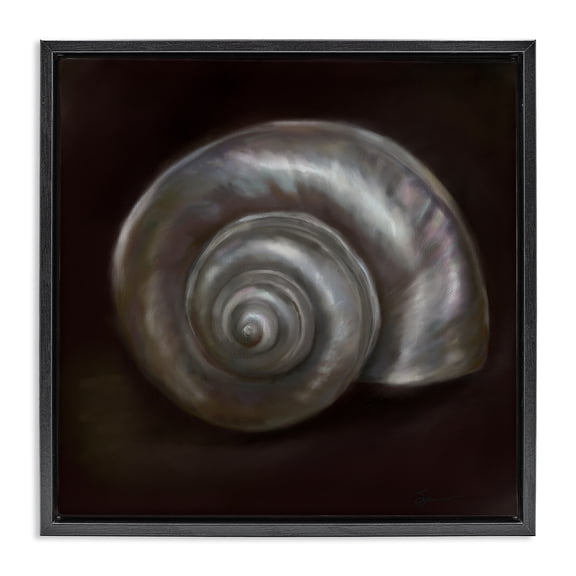 Stupell Industries Coastal Spiral Treasure Of Sea Black Floating Frame Canvas Art, 18 x 18, by Mary Sparrow