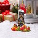 thumbnail image 4 of Adorno de Navidad Árbol encantador Regalo Adorno Árbol de Navidad Decoración de fiesta colgante Wmkox8yii fhajkh4856, 4 of 8