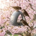 thumbnail image 4 of Grey Window Bird Feeder With Suction Cup Outdoor Tray Style For Garden Courtyard Plastic, 4 of 6