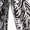 Silver, variant on Michael Michael Kors Petite Printed Cropped Pants Black/White 12P