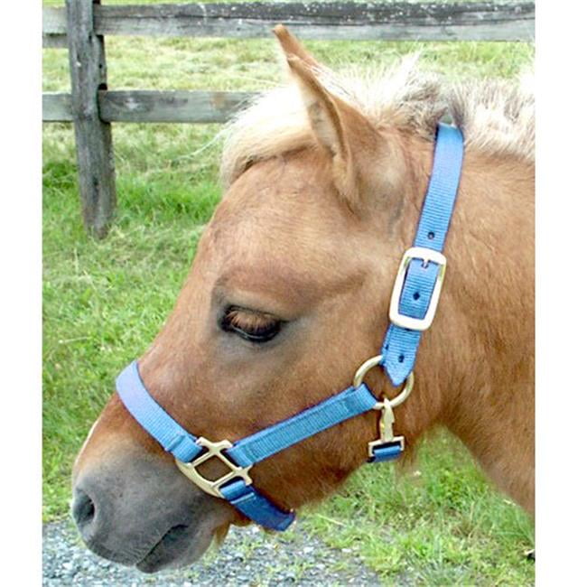 Intrepid International H325NLB Mini Nylon Miniature Horse Halter, Light