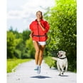 thumbnail image 2 of Jespet Hands-free Bungee Leash, 2 of 7