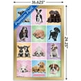 thumbnail image 3 of Keith Kimberlin - Puppies - Cuties Grid, 3 of 5