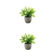 thumbnail image 2 of kurtrusly Realistic Artificial Succulent Low Maintenance Elegant Easy To Clean Artificial Money Tree In Pot white babysbreath 2Set, 2 of 6