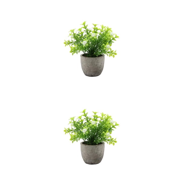 Inteprter Decoración artificial elegante de la planta en conserva fácil limpiar el árbol artificial del dinero en pote respetuoso del medio Type6 NO6