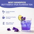 thumbnail image 4 of HANDPICK, Butterfly Pea Flower Tea (100 Herbal Tea Bags) | Caffeine Free, Non GMO | Premium Dried Butterfly Pea Flowers For Blue & Purple Drinks, Food Coloring | Iced Teas, Coolers, Cocktails, 4 of 9