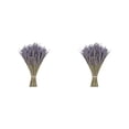 thumbnail image 1 of Toystoory Paquetes de lavanda seca Natural lavandas recién cosechadas ramo de flores decorativas accesorios para el hogar regalos 50g Lavanda seca 50 gramos 2piezas, 1 of 6