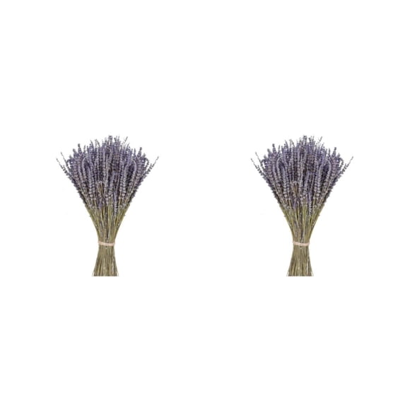 Toystoory Paquetes de lavanda seca Natural lavandas recién cosechadas ramo de flores decorativas accesorios para el hogar regalos 50g Lavanda seca 50 gramos 2piezas