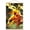 Premium Print and Beechwood Hanger Bundle, variant on DC Comics - The Flash - Spears Wall Poster, 14.725" x 22.375"