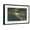 Black Frame, variant on Art.com Moon over Gandy Bridge, Tampa, Florida Art Print, 18" x 12"
