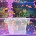 thumbnail image 2 of Tanques de cría de peces, acuario, vivero, criadero para crías de peces, caja de aislamiento para bettas, 2 of 7