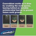 Concrobium Mold Control, 32oz Spray, AmmoniaFree, Indoor & Outdoor Use