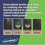 Concrobium Mold Control Multi-Purpose Mold & Mildew Cleaner, Liquid Spray, 32 oz
