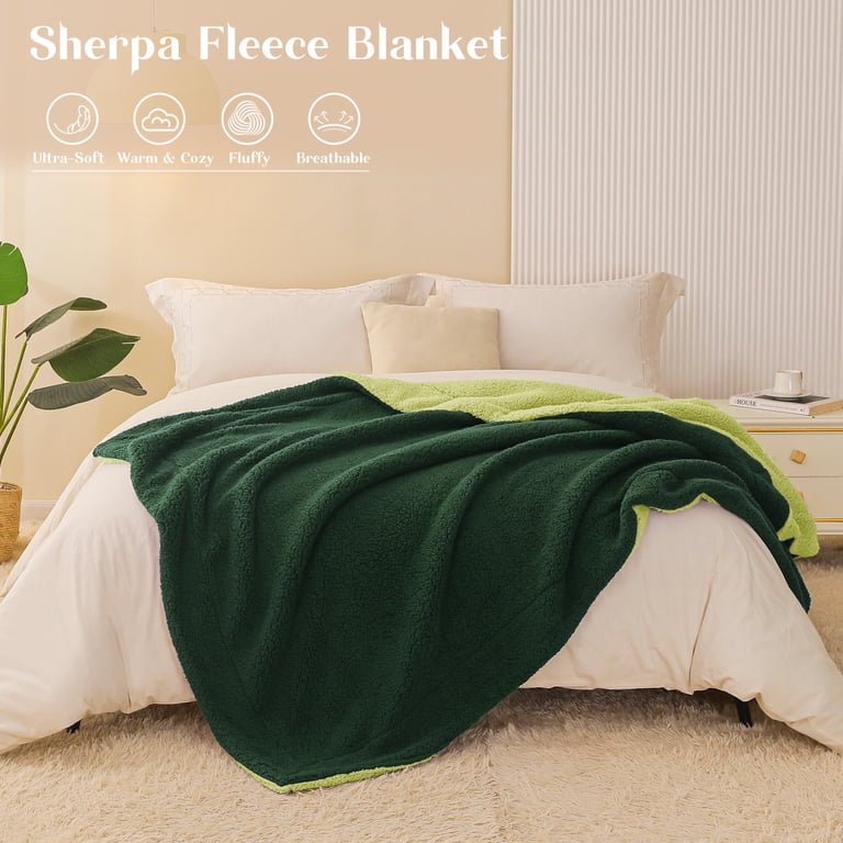 Exclusivo Mezcla 50" x 60" Reversible Sherpa Throw, Green photo 6