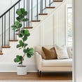 thumbnail image 3 of Artificial Fiddle Leaf Fig Tree - 6FT Fake Plant with Black Nursery Planter, Large Fake Tree for Home or Office Decor - Artificial Plants Indoor Outdoor,Housewarming Gift, 3 of 6