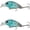 f, variant on Bisitoy 2Pcs Drop Shot Fishing Lures Set with Finesse Worm for Pressured Bass