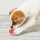 thumbnail image 3 of Pelota de Rugby chirriante para perros, pelotas de Rugby interactivas para perros, juguetes de pelotas de Rugby para perros, 3 uds., 3 of 4