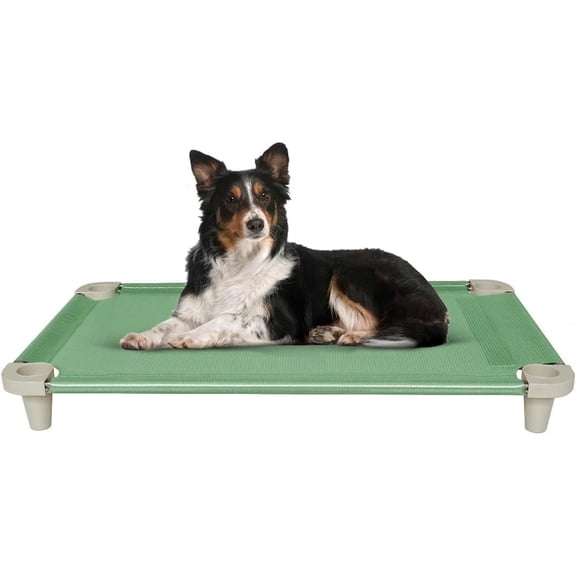 Acrimet Elevated Cooling Dog Bed, Breathable Mesh Cot, Stainless Steel Frame, Fits Dogs Up to 110 lb, Green, 40 x 24 in