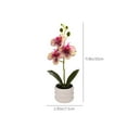 thumbnail image 3 of Artificial Phalaenopsis Orchid Plant - Realistic Adjustable White Flowers for Wedding Decor, Home Office & Commercial Spaces (11.8Inch, Weighted Pot) – Maintenance-Free PE Petals, 3 of 9