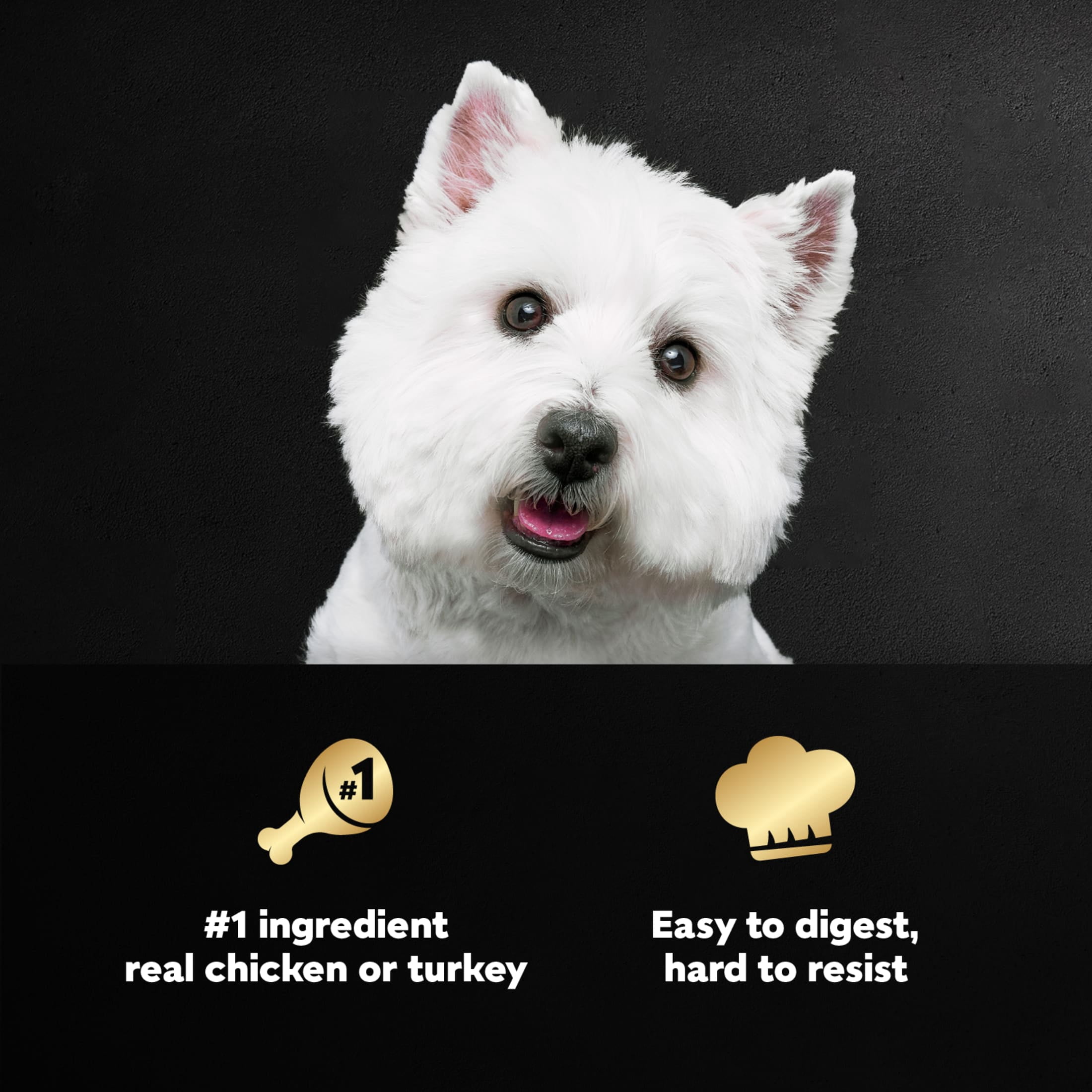 (4 pack) Cesar Filets in Gravy Poultry Flavor Variety Wet Dog Food Adult, 3.5 oz Easy Peel Trays (12 Pack)