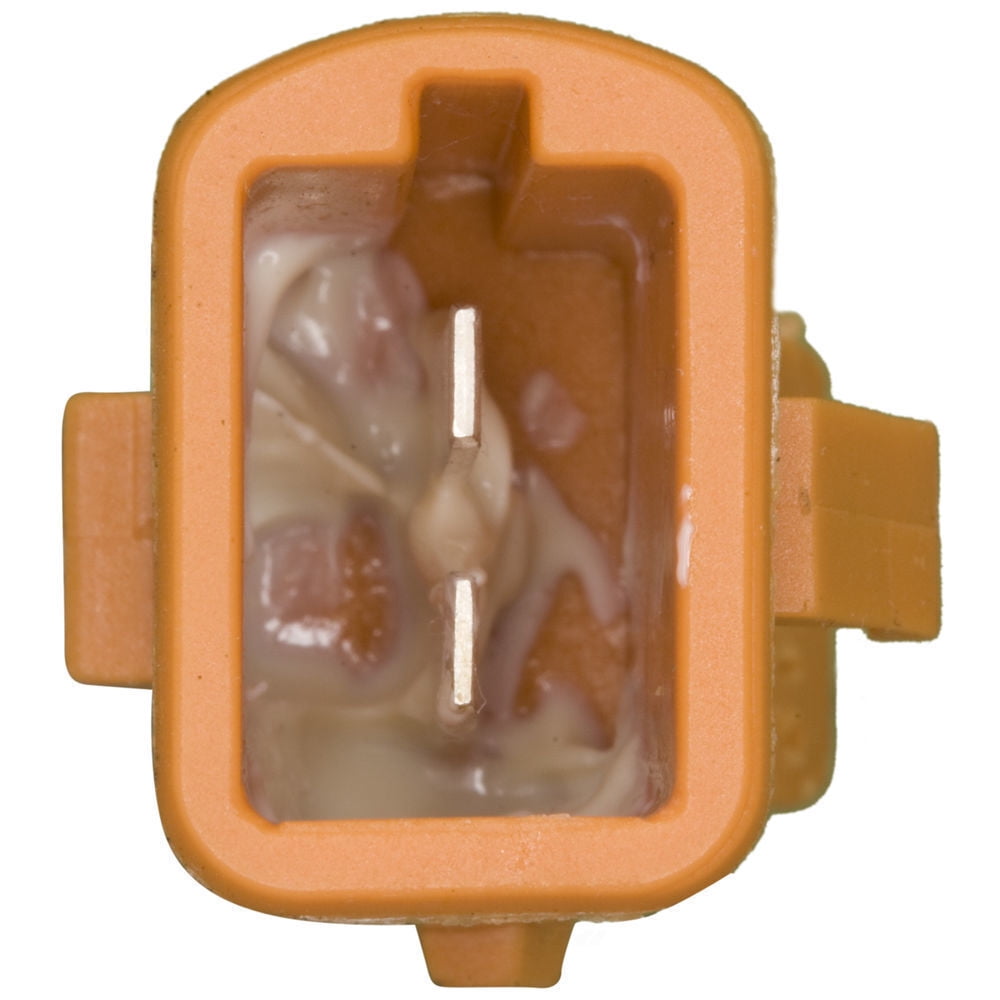 WVE Door Jamb Switch