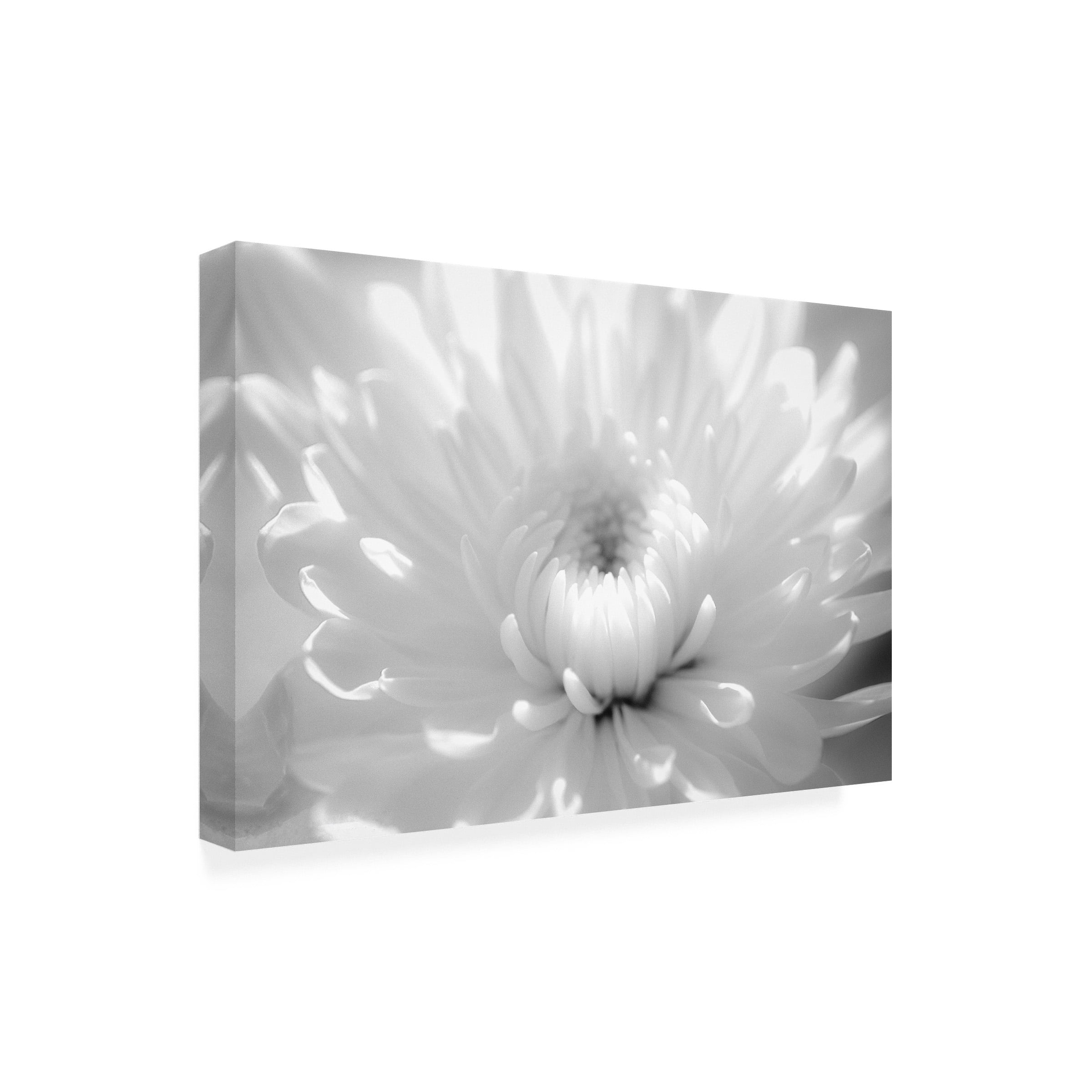 PIPA Fine Art 'Infrared Flower 2' Outdoor All-Weather Wall Decor