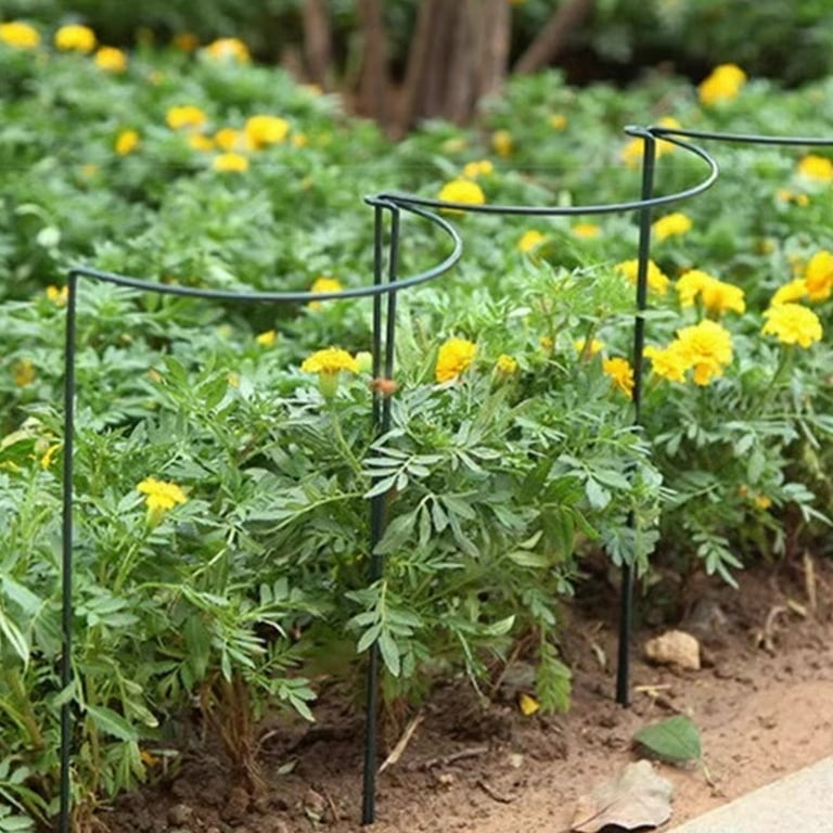 EZPXFCI 1 Pack Plant Support Stake, Metal Garden Plant Stake, Plant Support  Ring for Outdoor Indoor Snake Plant Peony Rose Flowers Vine, Green 25X60CM  - Walmart.com