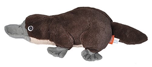 wild republic armadillo