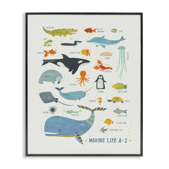 Stupell Industries Marine Life ABC Alphabet Education Painting Black Framed Art Print Wall Art, 11 x 14