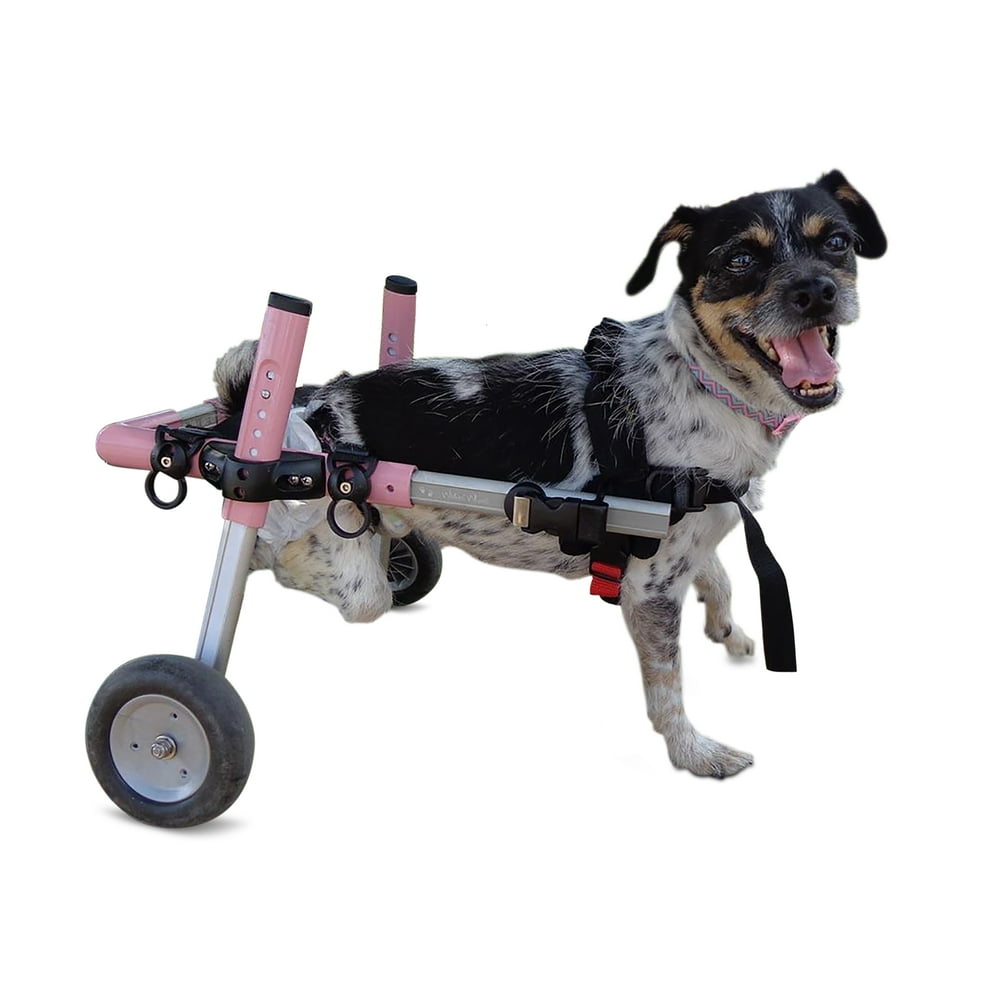 Walkin' Wheels Dog Wheelchair for Small Dogs 1125 Pounds