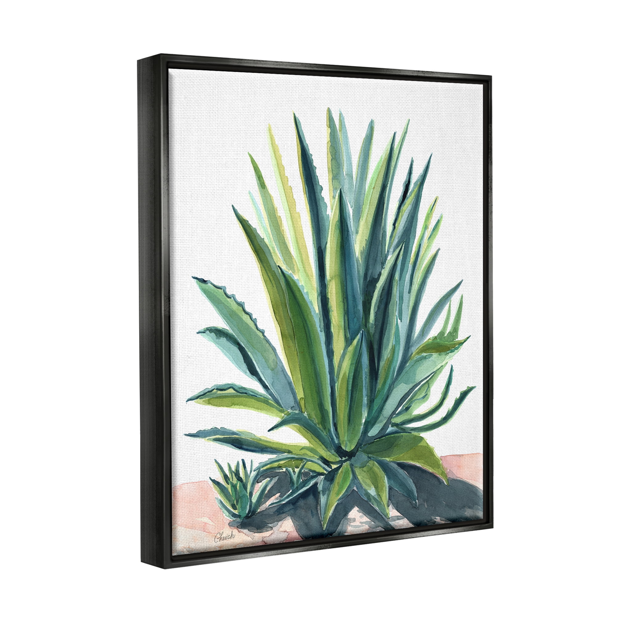 Stupell Aloe Plant Botanical Leaves Botanical & Floral Painting Black Floater Framed Art Print Wall Art