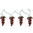 thumbnail image 2 of Northlight 100-Count Red Winery Grape Patio Novelty Christmas Light Set, 5ft Green Wire, 2 of 2