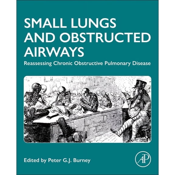 Small Lungs and Obstructed Airways: Reassessing Chronic Obstructive Pulmonary Disease, (Paperback)