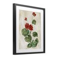 thumbnail image 3 of Stupell Industries Floral Journal Red Flower Black Framed Print Under Glass, design by Paul Brent, 21 x 17, 3 of 10