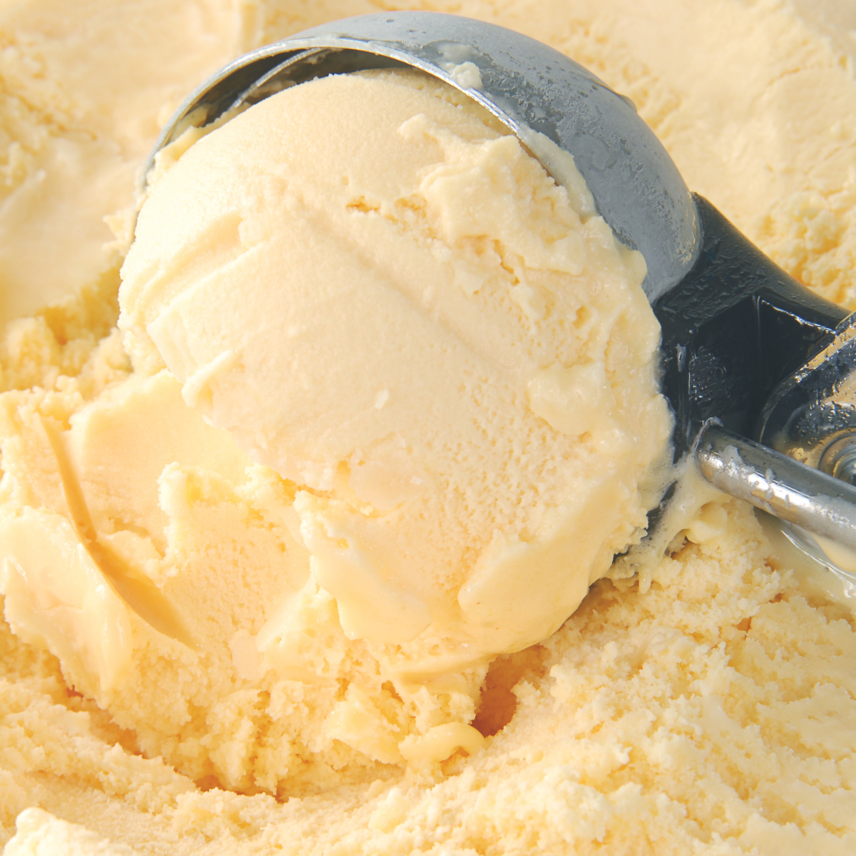 Vanilla Ice Cream – Dash