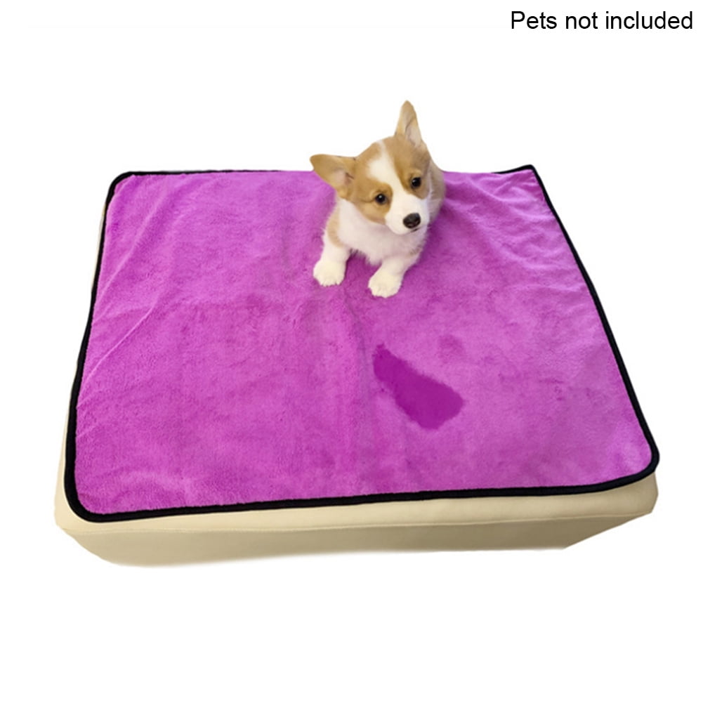 dog proof blanket