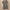 Gray, variant on Tnhcen Women's Lightweight Waffle Long Sleeve Sleep Robe - Couples Home & Bath Wear with 2 Pockets, Plus Size M-3XL, Soft Pajamas Homewear