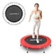 thumbnail image 1 of Trampolín Plegable Altera  ALT-JMP-36 De 36 Pulgadas Para Entrenamiento Altera, 1 of 8